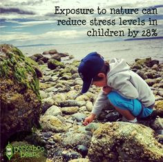 ... stress levels reduce kids outdoor education quotes outdoor plays plays