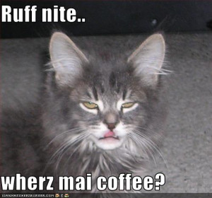 81480_funny-pictures-cat-wants-his-coffee.jpg
