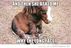 sad depressed horse animal foal why long face funny pics pictures pic ...