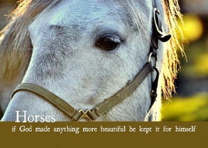 Pony At Sunset Quote Photograph