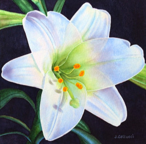 easter lily painting