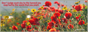 Reaping Harvest Facebook Cover