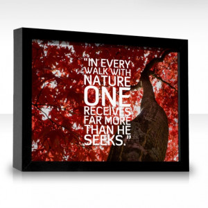 ... walk with Nature one receives far more than he seeks. ~ John Muir