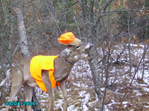 Search Results Funny Hunting Birthday Quotes And Pictures