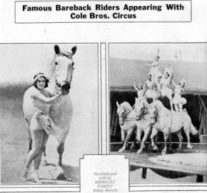 loyal lodge of good fellows