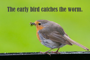 the+early+bird+catches+the+worm.jpg