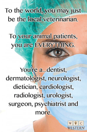 What Makes Veterinarians Special
