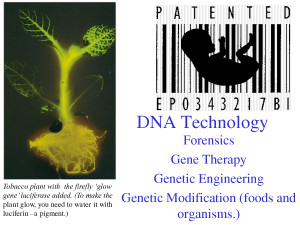 Genetic Engineering Pros And Cons