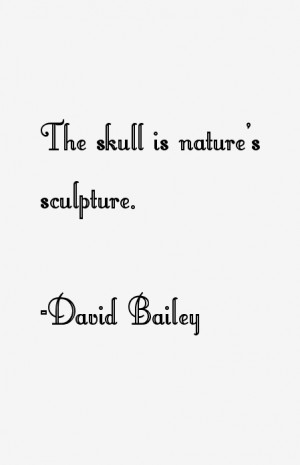 David Bailey Quotes & Sayings