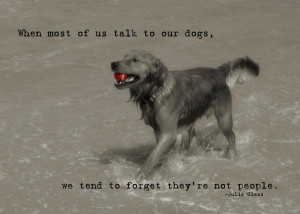 dog friendship quotes