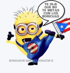 puertorican be like, lol