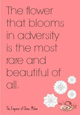 Found on thestir.cafemom.com