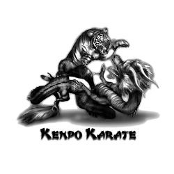 Kenpo Karate Tiger And Dragon Necklacejpgheight=250&width=250 picture