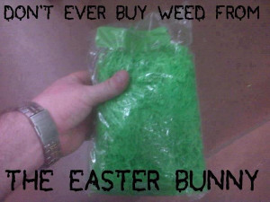 Easter Bunny Warning
