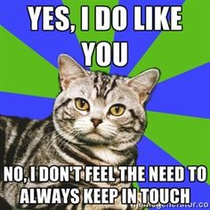 This is so me! I love my friends but I just don't crave attention from ...