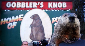 MOVIE QUOTES enter the cultural canon on a yearly basis, but the ...