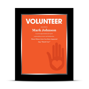 Volunteer Industry Award Plaque (760145)
