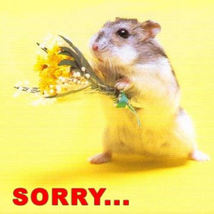sorry.jpg#sorry%20350x350