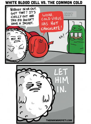 White Blood Cells Vs. The Common Cold In Comic By The Awkward Yeti
