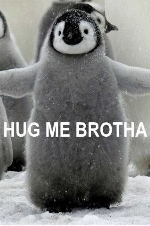 HUG ME BROTHA!