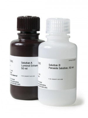 amersham ecl dualvue western blotting markers