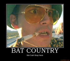 bat-country-fear-and-loathing-las-vegas-drugs-lsd-demotivational ...