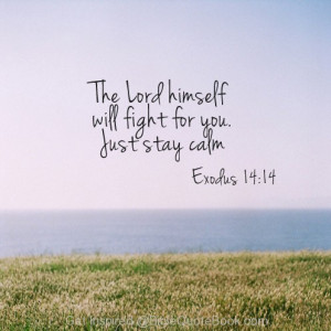 Stay Calm, God will fight for you, inspiring heart healing bible verse ...
