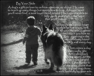By Your Side. | ;; Animal quotes and poems. | Pinterest