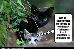 Can ka neih lo deuh ruangah kan tawngin ka let man lo. Mirang mi siar ...