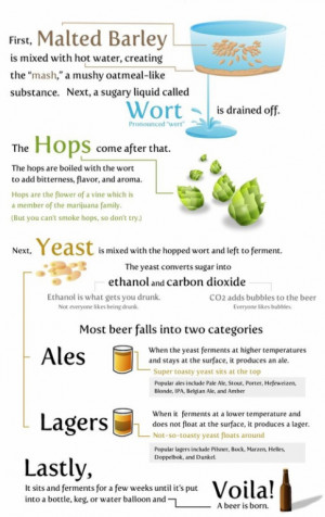 How to make beer, the basics of it!