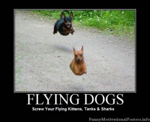... anti tank dogs flying sharks flying tanks flying kittens flying cat