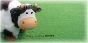 cow cute Image