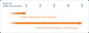 Preventing Chemotherapy-Induced Nausea and Vomiting