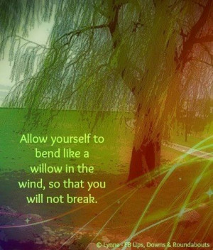 Bend like the willow advice quote via Ups, Downs, & Roundabouts at www ...