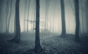 foggy weather cool wallpaper application is the live wallpaper ...