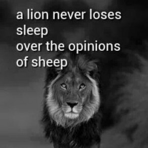 Don't lose sleep #Lion