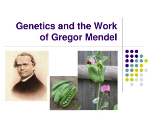 Genetics and the Work of Gregor Mendel
