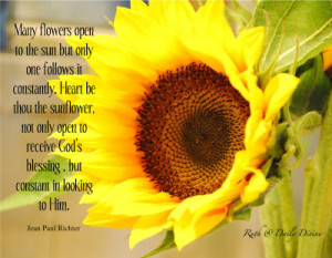 Sunflower Sayings And Quotes