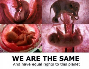 Pinned by eeiko bottles