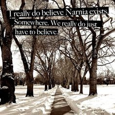 Faith, Cslewis, Chronicles Of Narnia, Canvas, Cs Lewis Quotes, Quotes ...