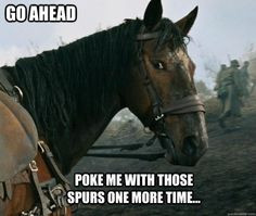 war horse memes quickmeme more meme horses horses training war horses ...