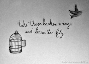 Take These Broken Wings and Learn to Fly