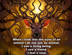 ... An Animal I Do Not See An Animal. I See A Living Being - Animal Quote