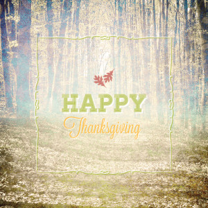 hope everyone has a fantastic Thanksgiving with lots of great family ...