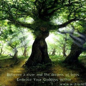 Links to this Picture (Html Codes) (Copy/Paste into your own Website ...