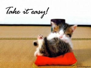 Funny quotes very cute kitty cat picture take it easy cute pictures
