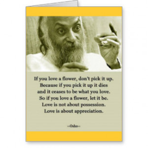 Famous Love Quotes Cards, Famous Love Quotes Card Templates, Postage ...