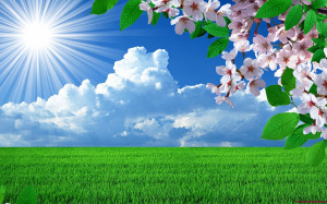 Nature___Seasons___Spring_Sunny_weather_in_the_spring_067863_.jpg