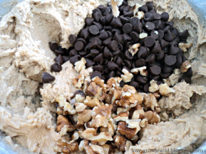 12 ounce package semi sweet chocolate chips and 1 cup chopped nuts