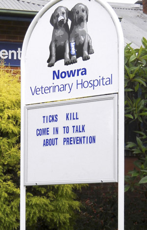 Vet Hospital Signs Funny Marquee Sayings